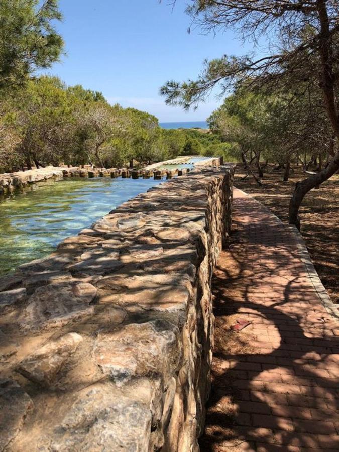 Cozy House Near La Mata Beach Τορεβιέχα Εξωτερικό φωτογραφία